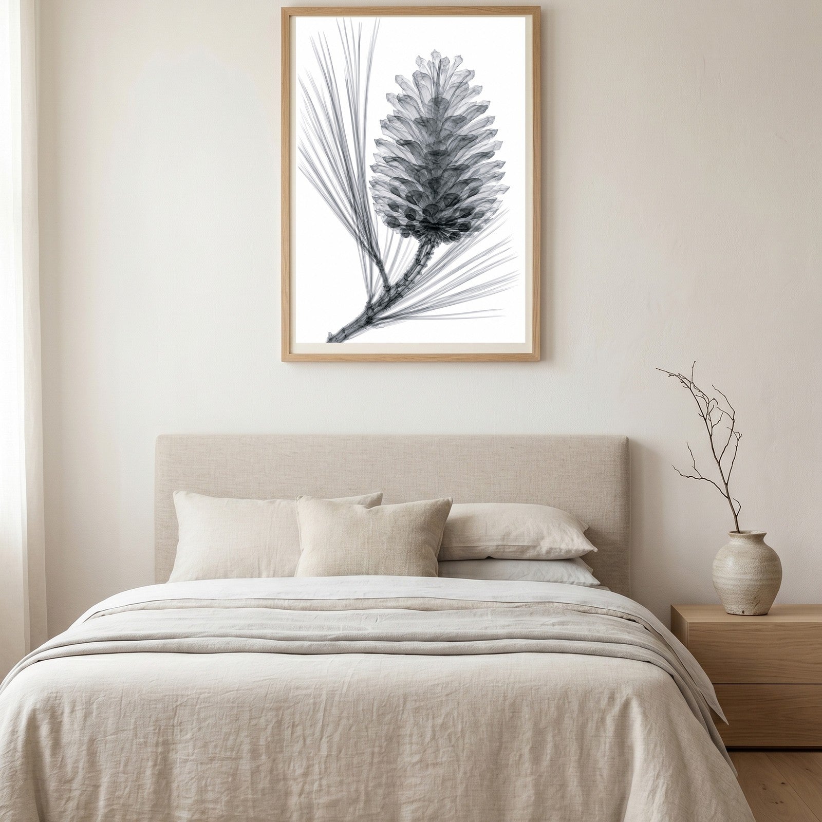 Pine Cone X-Ray Botanical Art Print | Pinus | Scientific Floral Wall Art