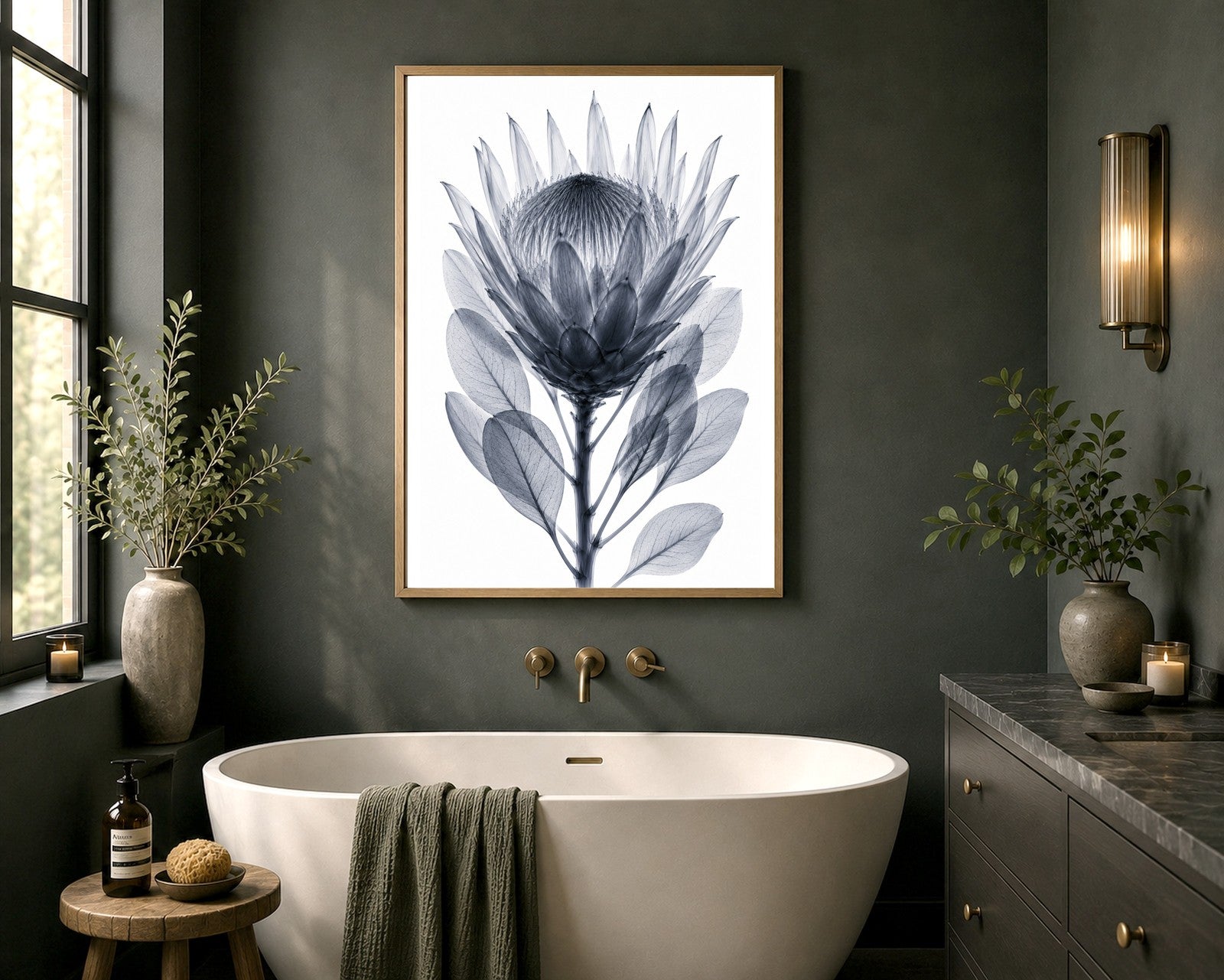 King Protea X-Ray Botanical Art Print | Protea cynaroides | Scientific Floral Wall Art
