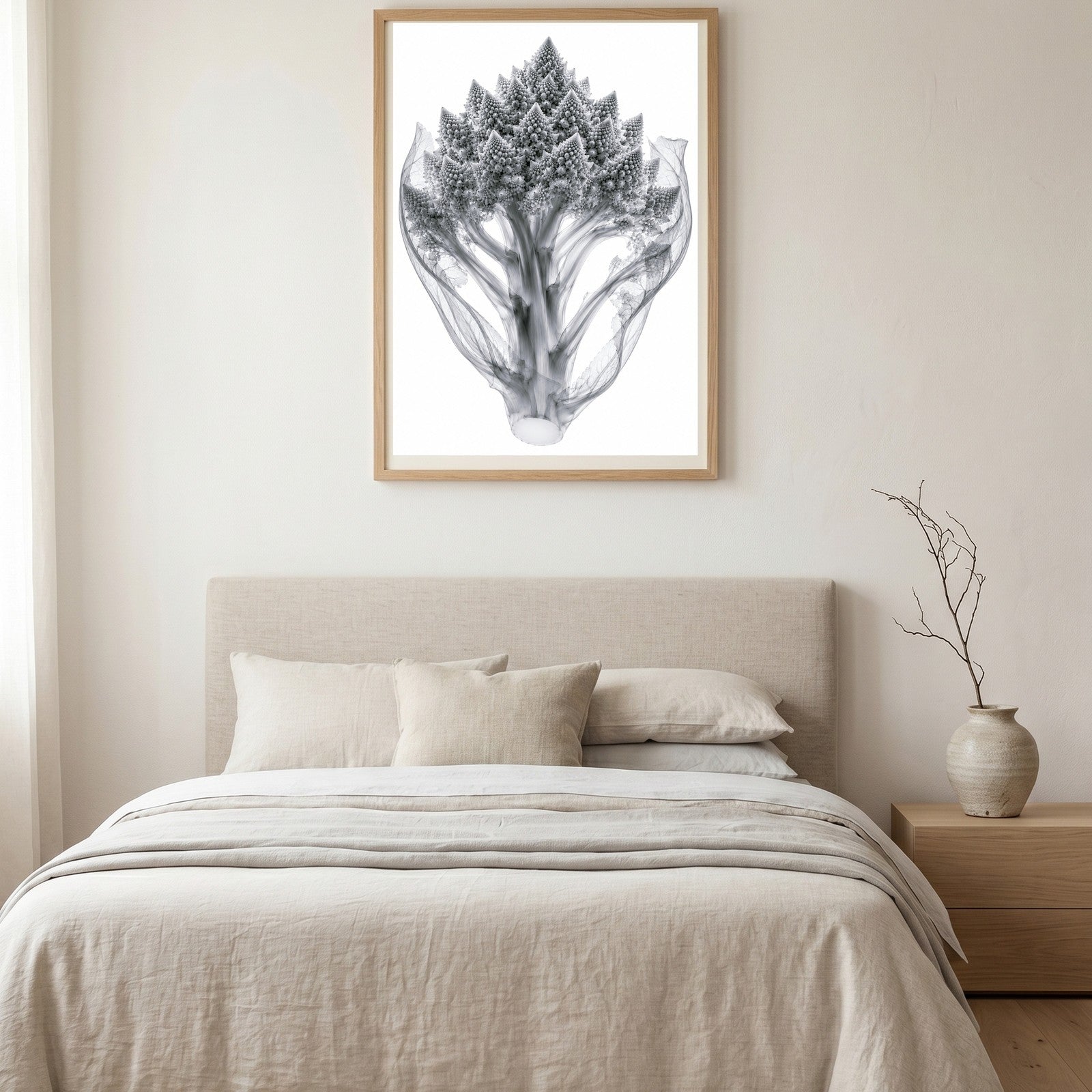 Romanesco Broccoli II X-Ray Botanical Art Print | Brassica oleracea var. botrytis | Scientific Floral Wall Art