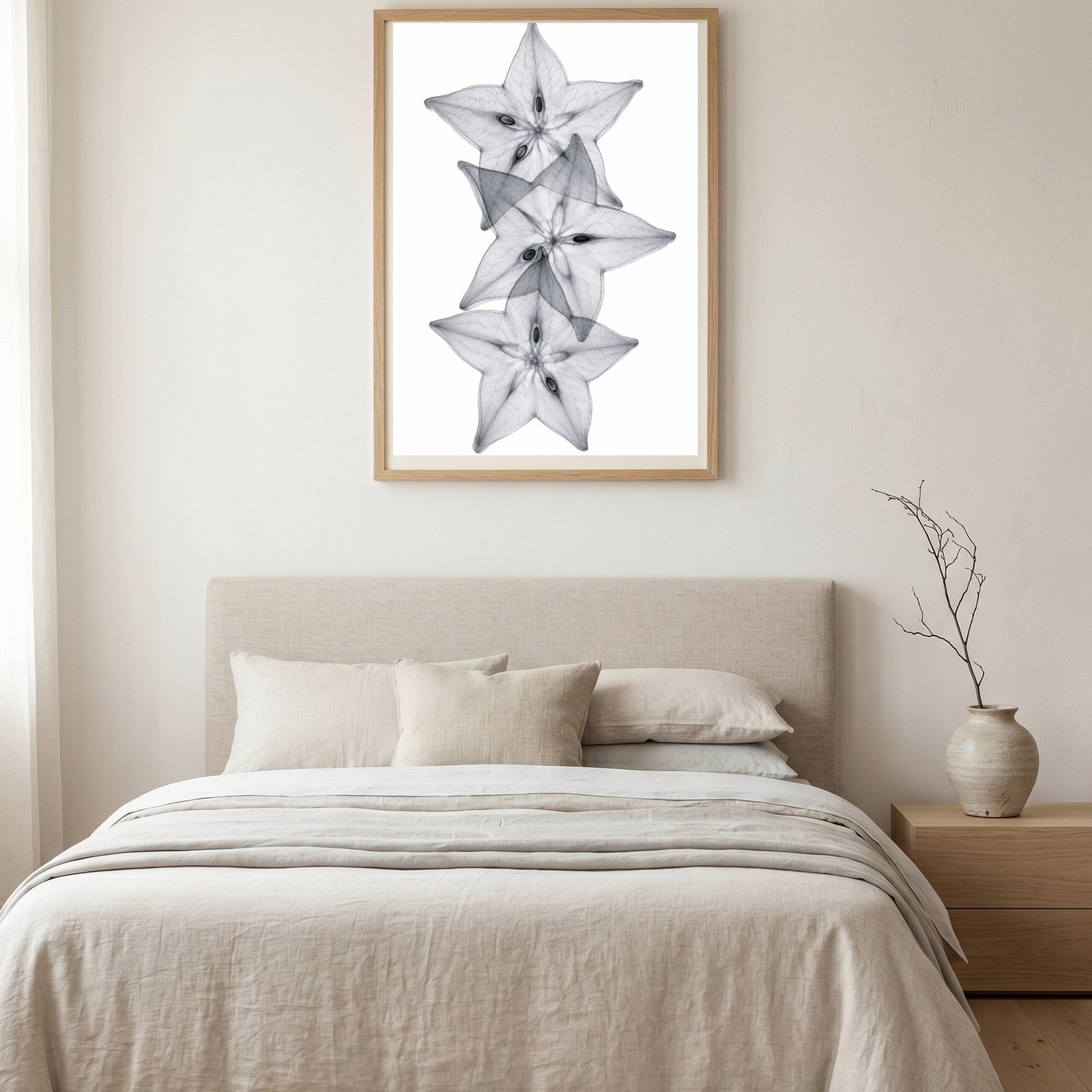 Starfruit Slices X-Ray Botanical Art Print | Averrhoa carambola | Scientific Floral Wall Art