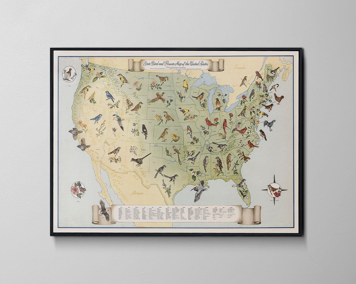 Historic Map - State Bird and Flower Map of the United States, 1965 - Vintage Wall Art