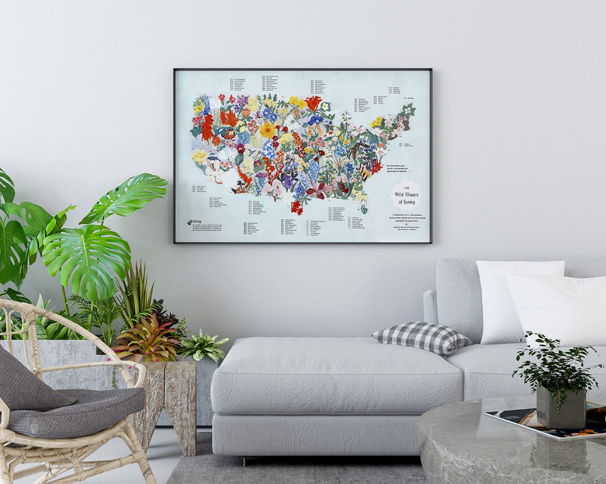 Wild Flowers of Spring - United States - Pictorial Map, 1955