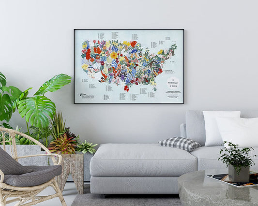 Wild Flowers of Spring - United States - Pictorial Map, 1955