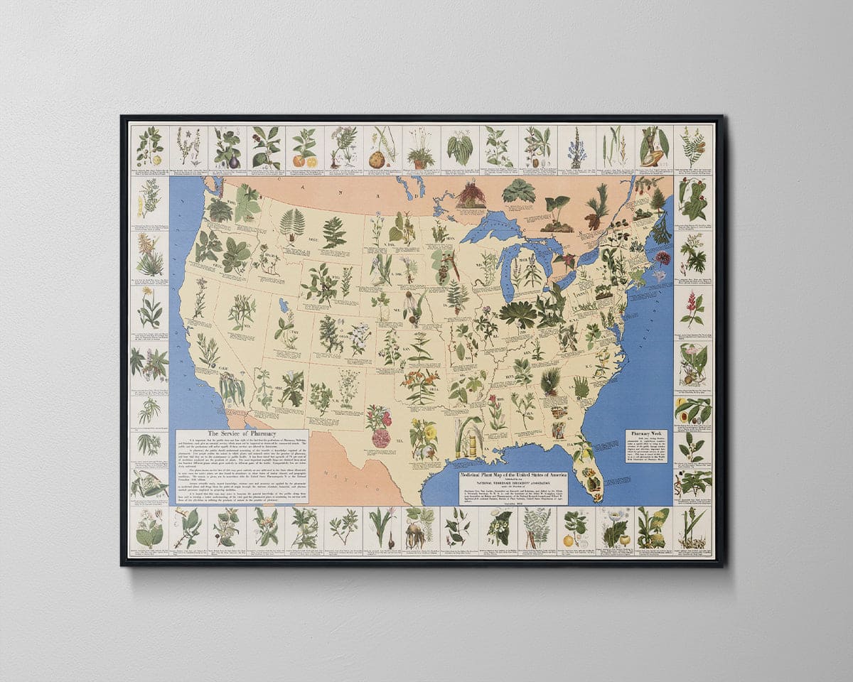 Historic Map - Medicinal plant map of the United States of America, 1932 - Vintage Wall Art