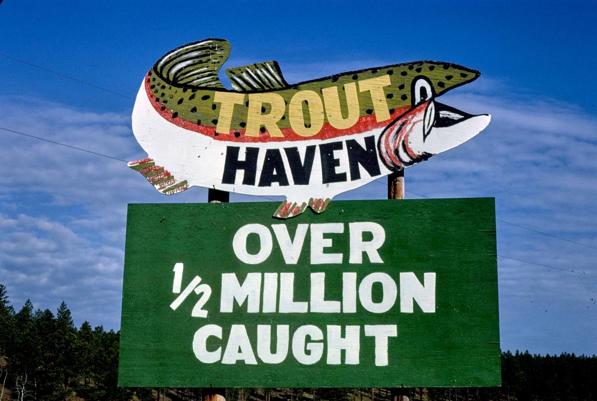 Historic Photo : 1980 Trout Haven billboard, Route 385, Black Hills, South Dakota | Margolies | Roadside America Collection | Vintage Wall Art :