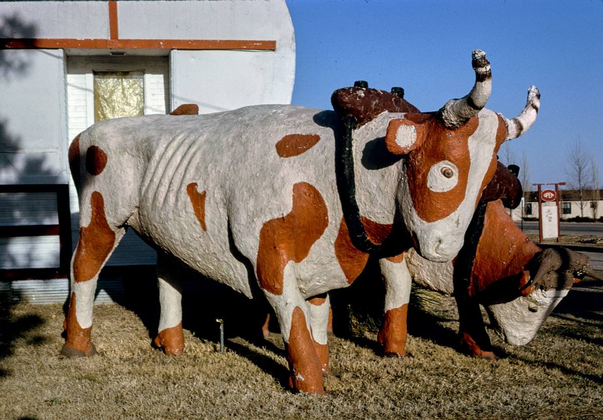 Historic Photo : 1996 The Covered Wagon, West Highway 30, Kearney, Nebraska | Margolies | Roadside America Collection | Vintage Wall Art :