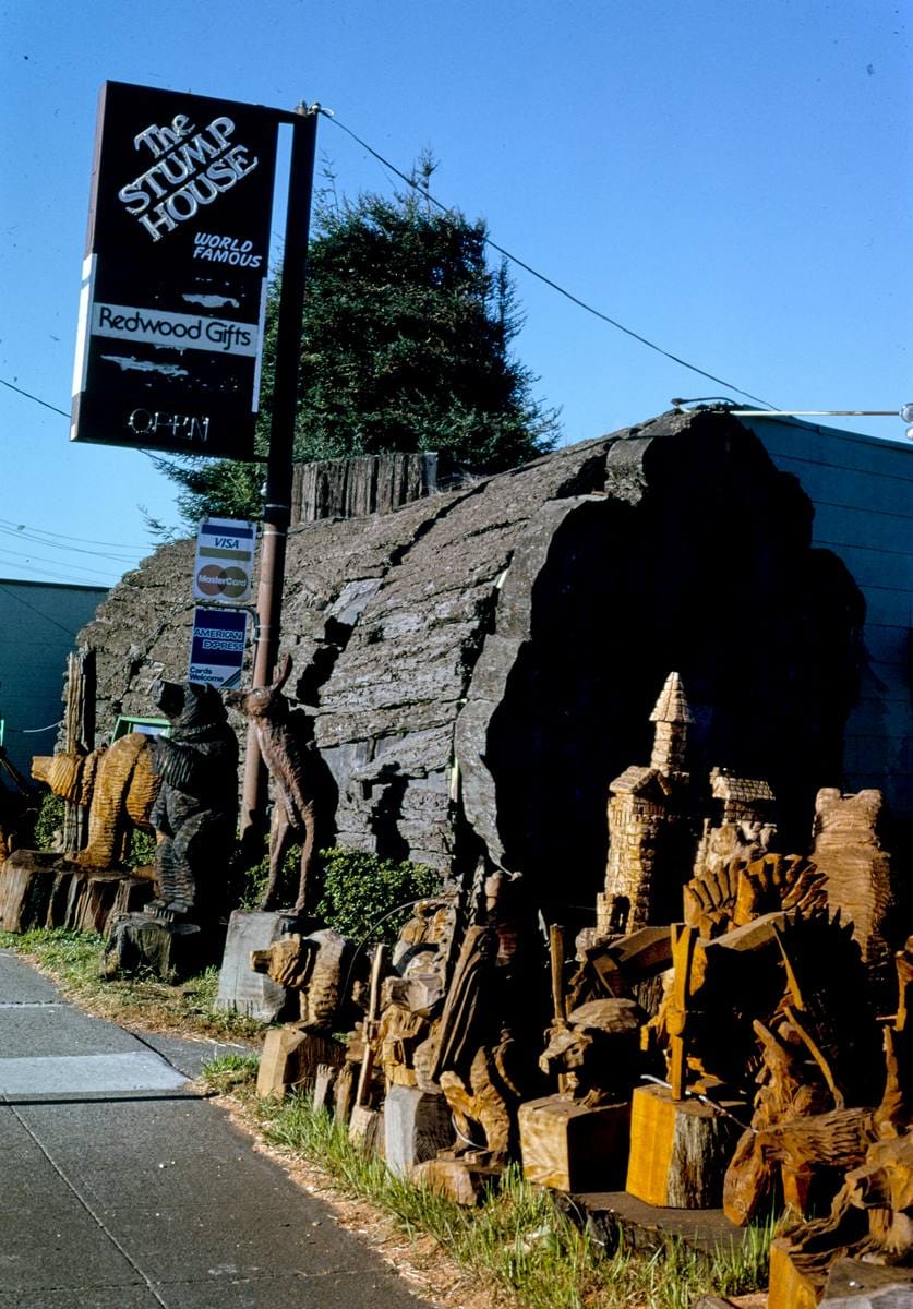 Historic Photo : 1991 Stump House, Redwood Gifts, Route 101, Eureka, California | Margolies | Roadside America Collection | Vintage Wall Art :