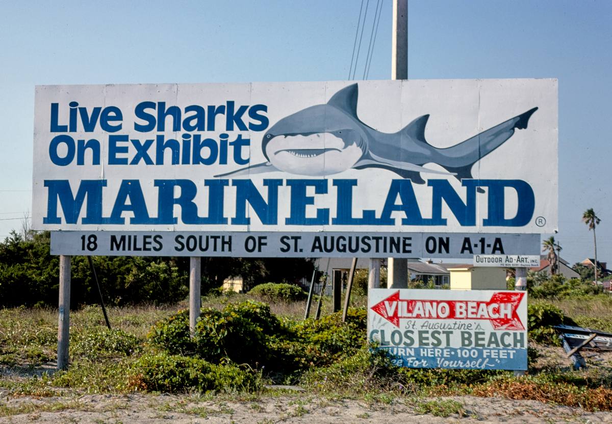 Historic Photo : 1979 Marineland billboard, Florida | Margolies | Roadside America Collection | Vintage Wall Art :