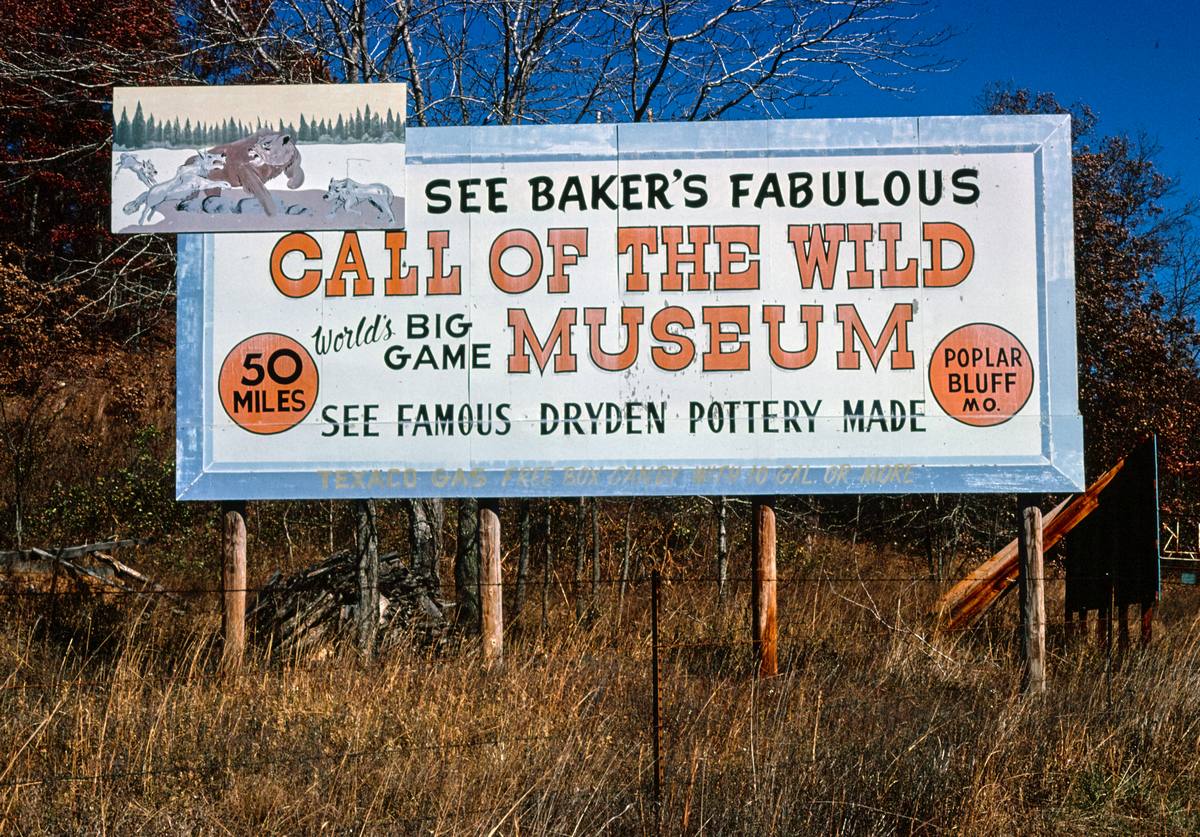 Historic Photo : 1979 Call of the Wild Museum billboard, Route 60, Van Buren, Missouri | Margolies | Roadside America Collection | Vintage Wall Art :