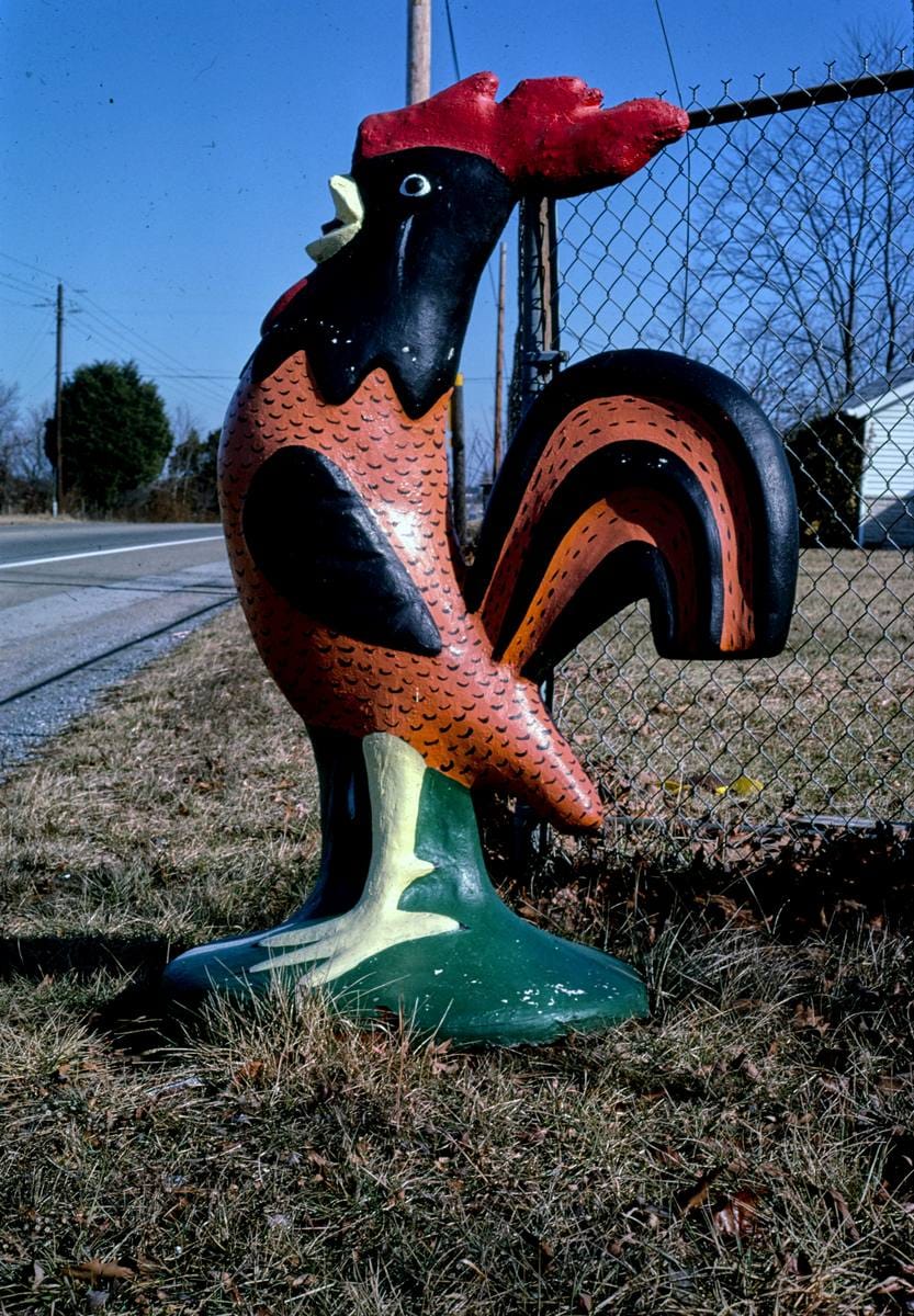 Historic Photo : 1984 411 Gift Shop rooster, Route 11, McGhee, Tennessee | Margolies | Roadside America Collection | Vintage Wall Art :