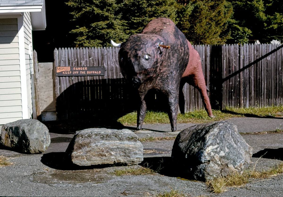 Historic Photo : 1995 Mohawk Trading Post buffalo statue, Route 2, Shelburne, Massachusetts | Margolies | Roadside America Collection | Vintage Wall Art :