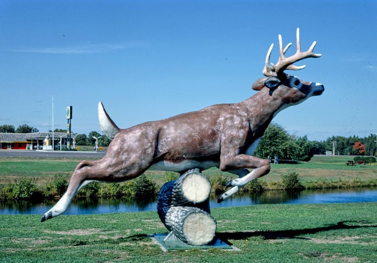 Historic Photo : 1988 Black River Falls Oasis stag statue, Black River Falls, Wisconsin | Margolies | Roadside America Collection | Vintage Wall Art :
