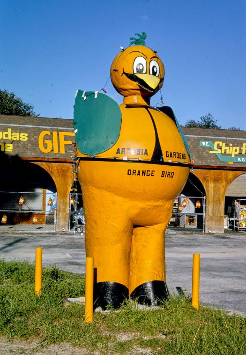 Historic Photo : 1990 Artesia Gardens Citrus Stand, orange bird statue, angle A, Route A1A, Hammock, Florida | Margolies | Roadside America Collection | Vintage Wall Art :