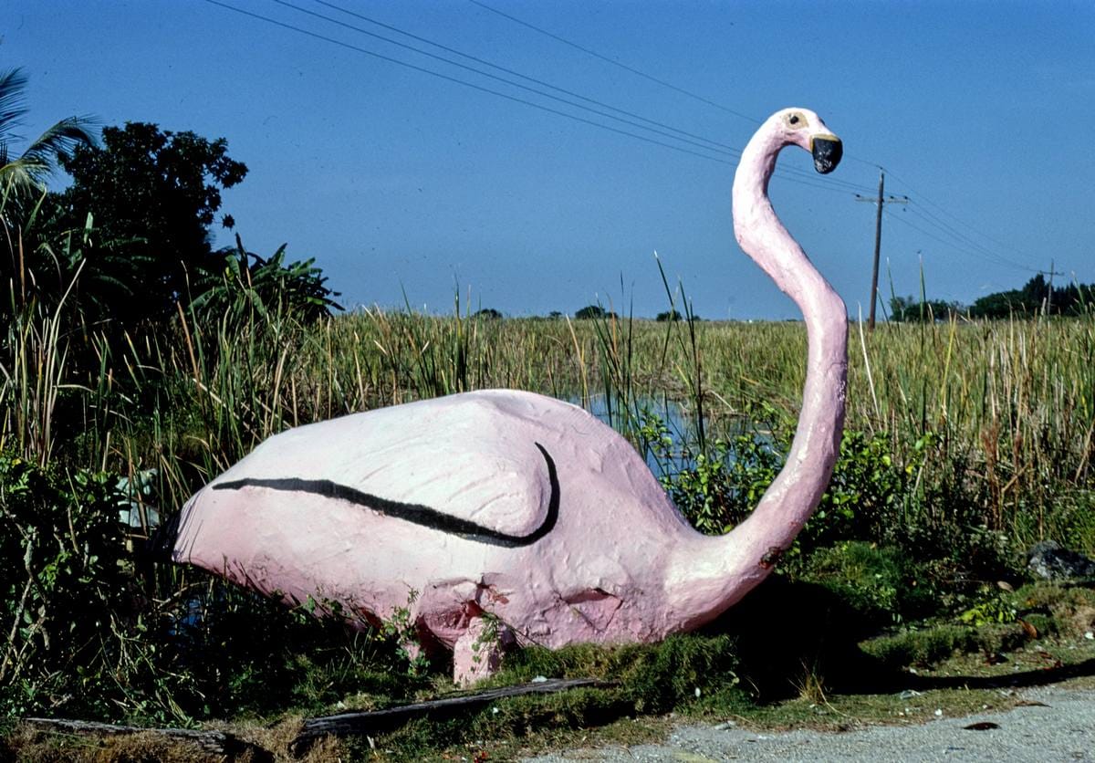 Historic Photo : 1980 Roadside flamingo statue, Frog City, Route 41, Florida | Margolies | Roadside America Collection | Vintage Wall Art :
