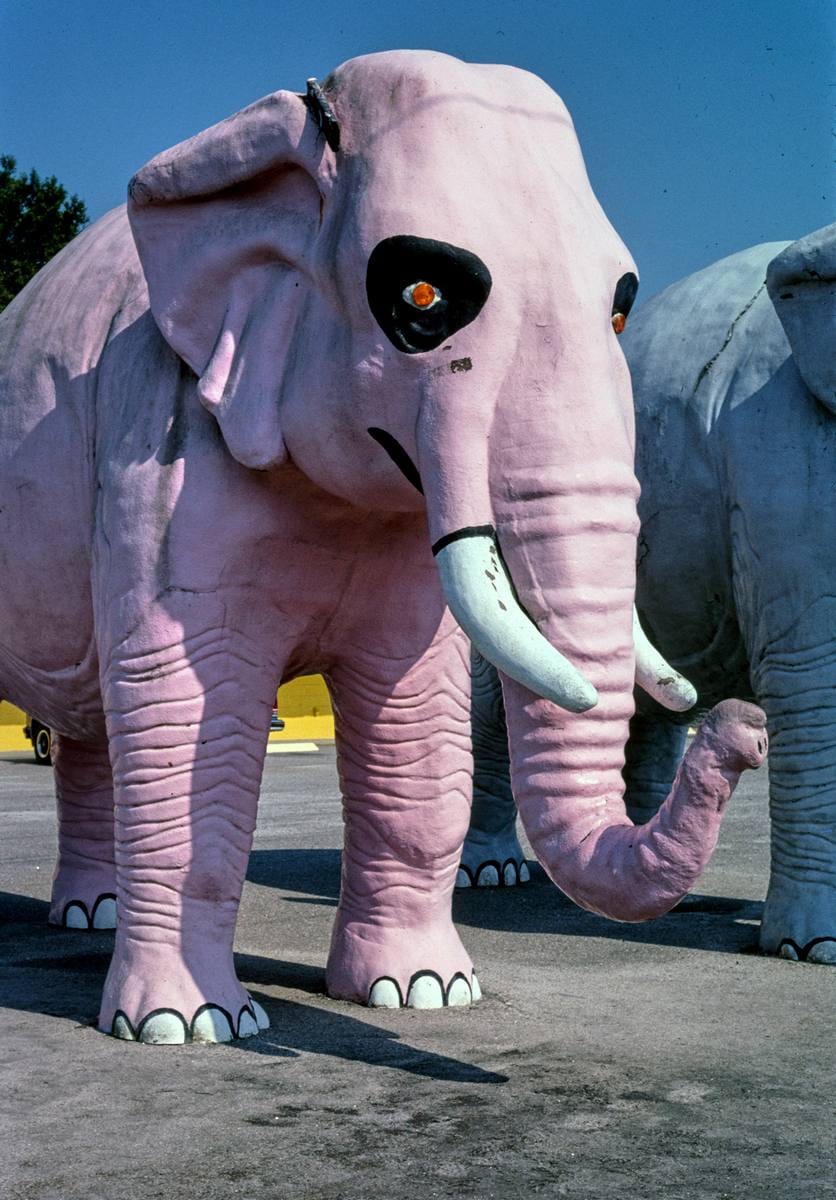 Historic Photo : 2004 Papa Joe's Fireworks pink elephant, Route 17, Hardeeville, South Carolina | Margolies | Roadside America Collection | Vintage Wall Art :