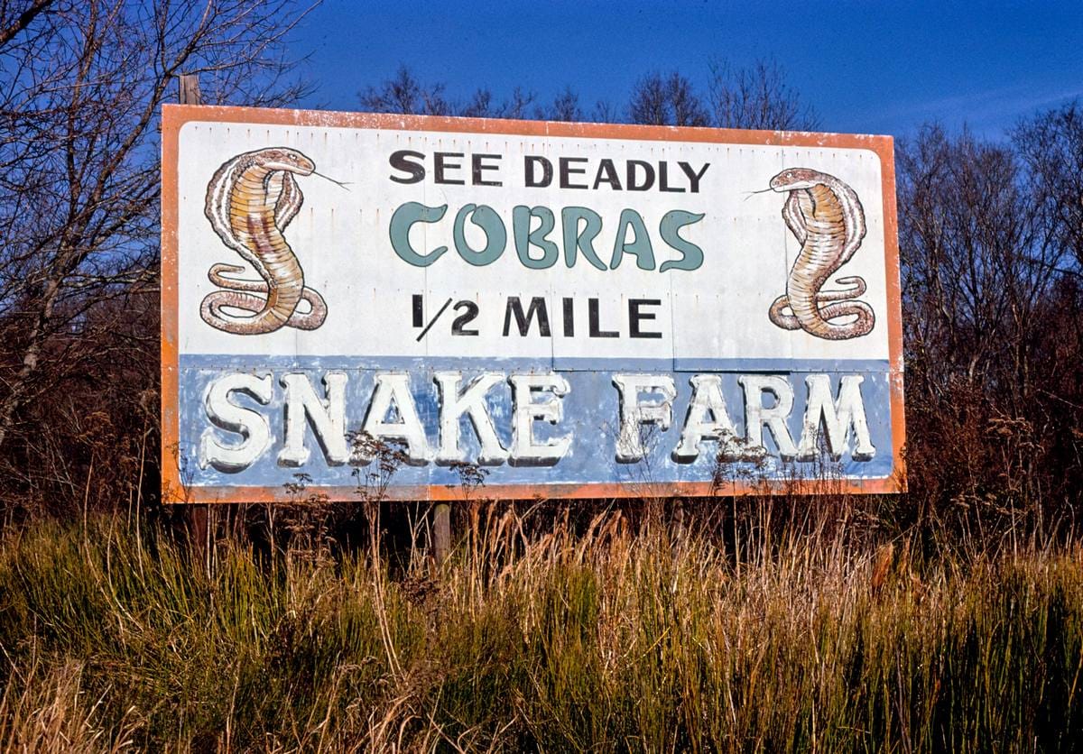 Historic Photo : 1979 Snake Farm billboard, Rt. 61, south of Laplace, Louisiana | Margolies | Roadside America Collection | Vintage Wall Art :