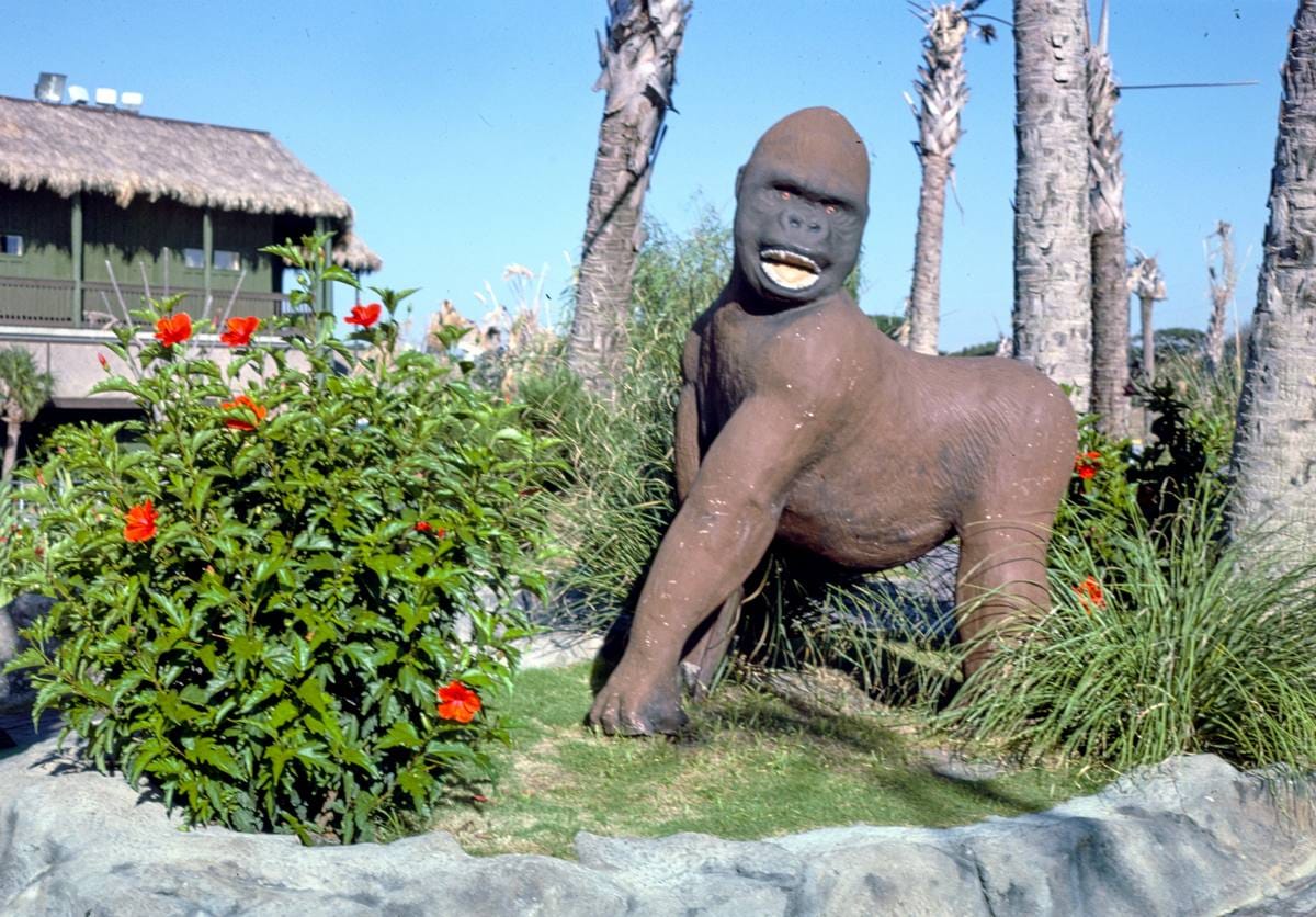 Historic Photo : 1985 Gorilla, Gorilla Country Golf, Atlantic Beach, North Carolina | Margolies | Roadside America Collection | Vintage Wall Art :