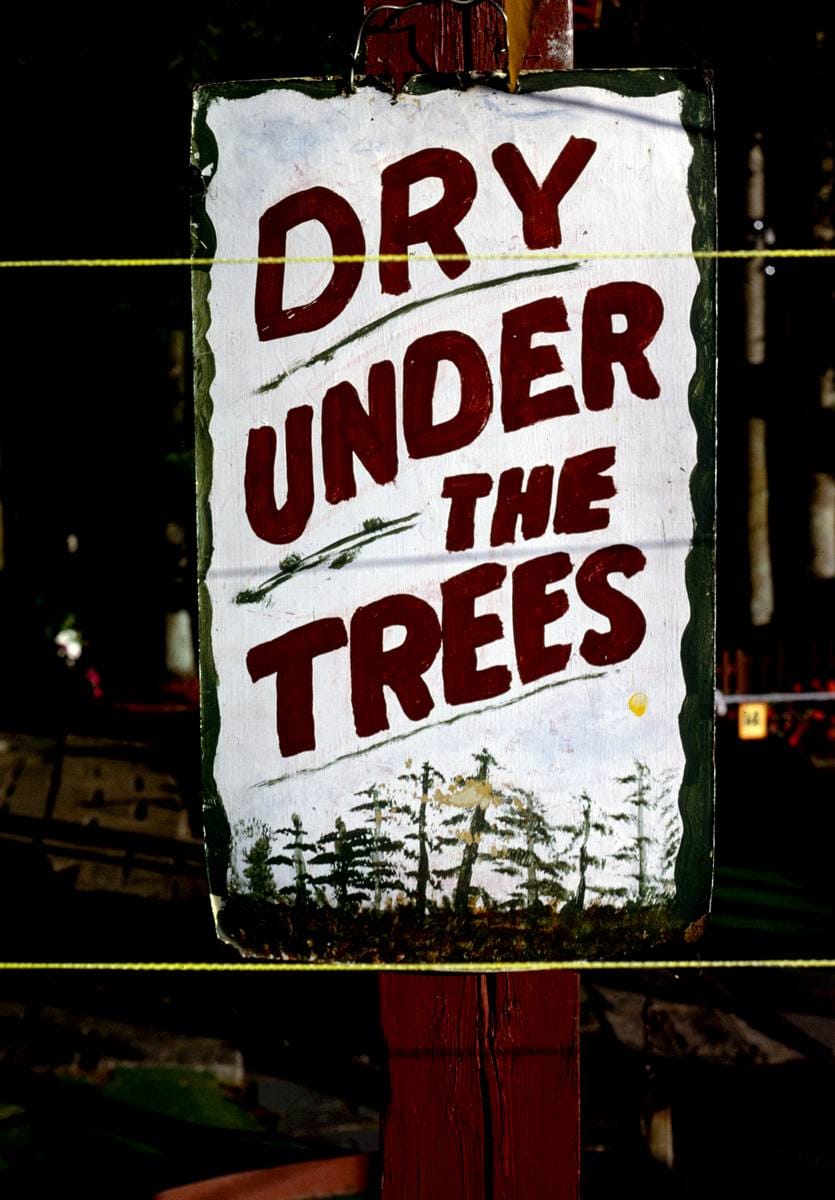 Historic Photo : 2002 Dry sign, Nutty-Putty, Old Forge, New York | Margolies | Roadside America Collection | Vintage Wall Art :