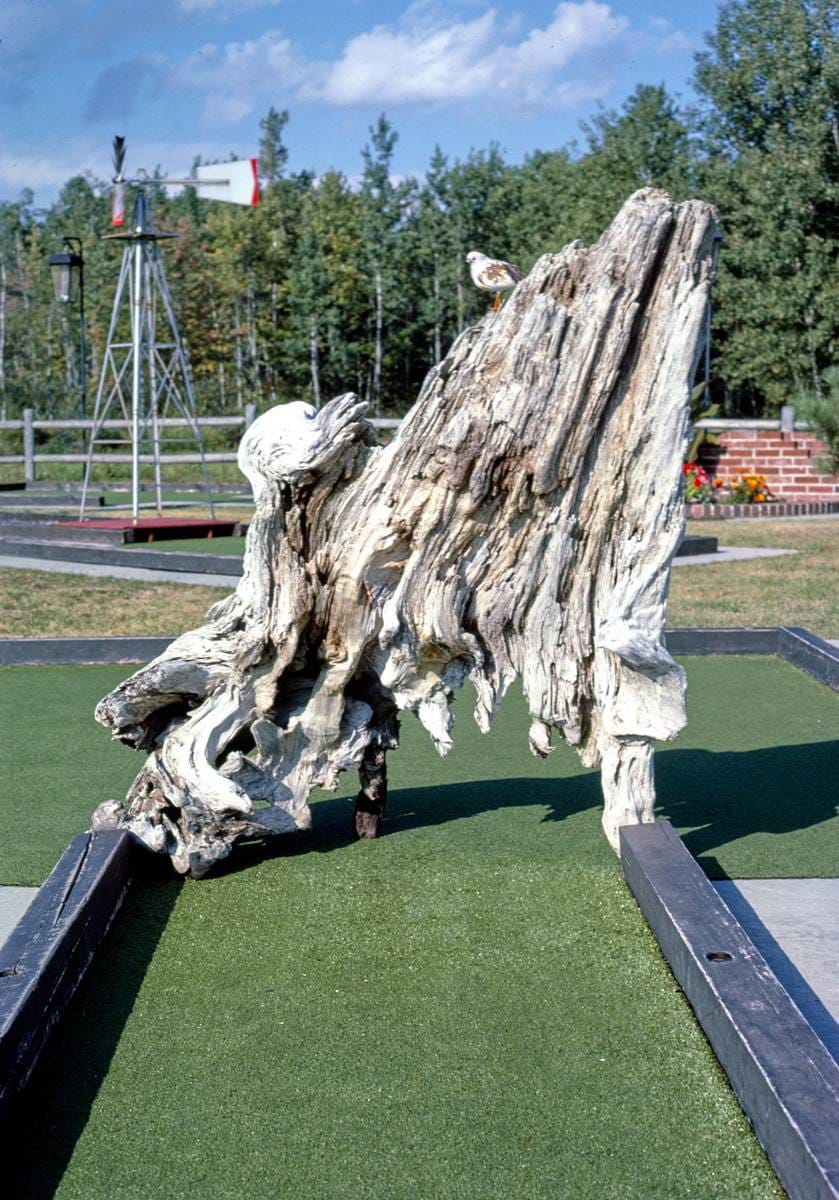 Historic Photo : 1984 Drift wood hole, Vokes Mini Strokes, Route 3, Trenton, Maine | Margolies | Roadside America Collection | Vintage Wall Art :