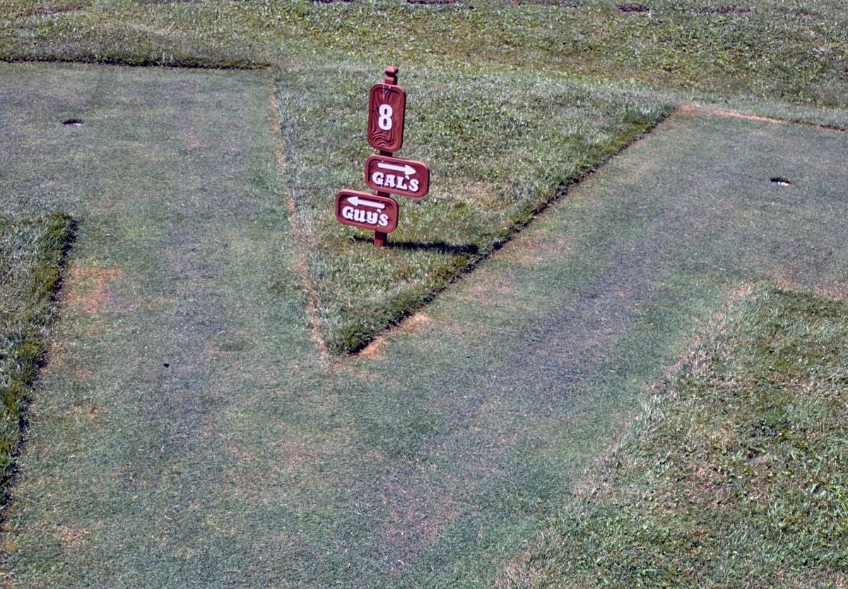 Historic Photo : 1987 Hole #8 detail, Hutsie Putsie, Deposit, New York | Margolies | Roadside America Collection | Vintage Wall Art :