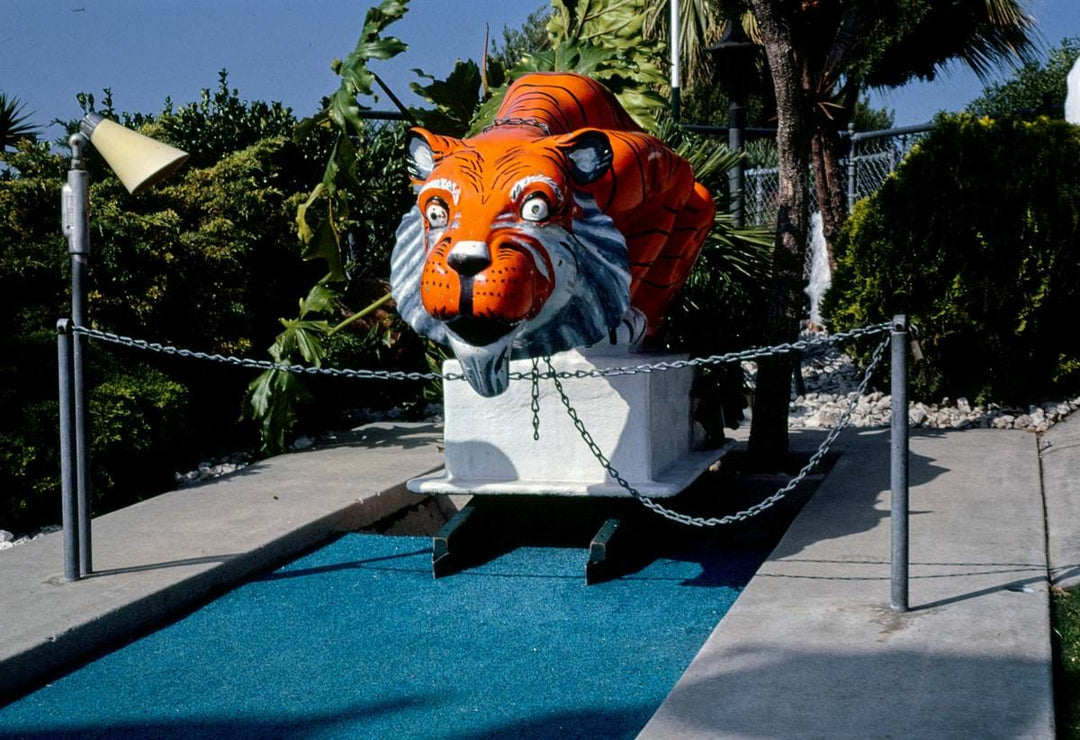 Historic Photo : 1981 Tiger hole, Fountain Valley mini golf, Fountain Valley, California | Margolies | Roadside America Collection | Vintage Wall Art :