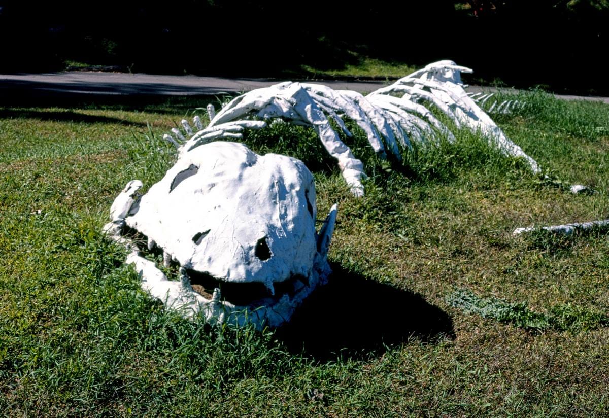 Historic Photo : 1988 Skeleton, Prehistoric Forest, Route 12, Onsted, Michigan | Margolies | Roadside America Collection | Vintage Wall Art :