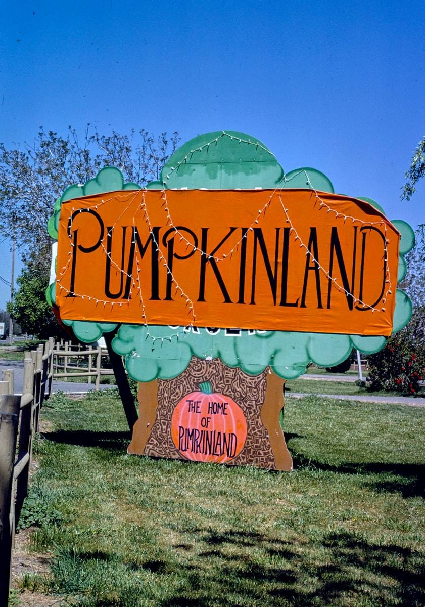 Historic Photo : 1980 Pumpkin sign, Route 99, Dairyville, California | Margolies | Roadside America Collection | Vintage Wall Art :