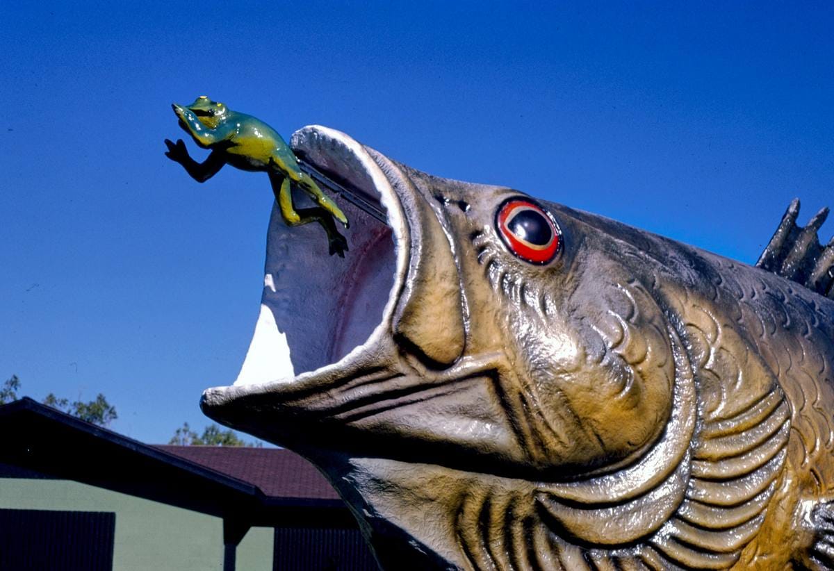 Historic Photo : 1988 Fish mouth, Freshwater Fishing Hall of Fame, Hayward, Wisconsin | Margolies | Roadside America Collection | Vintage Wall Art :