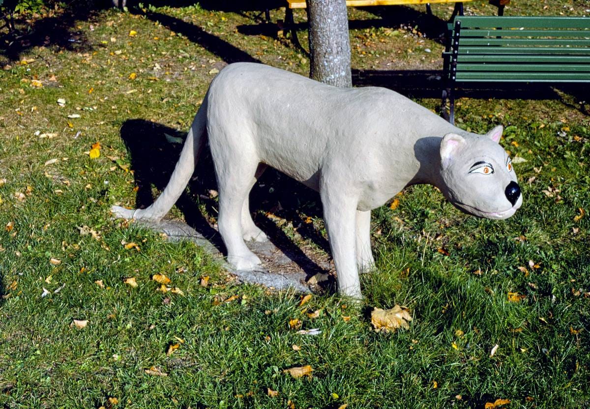 Dragable Image
