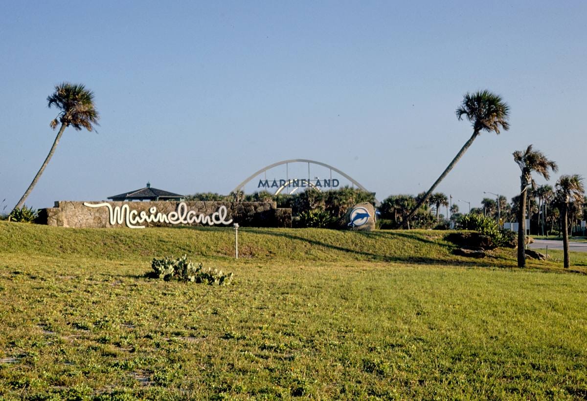 Historic Photo : 1990 Billboard and overall view, Marineland, Whitney Park, Route A1A, Marineland, Florida | Margolies | Roadside America Collection | Vintage Wall Art :