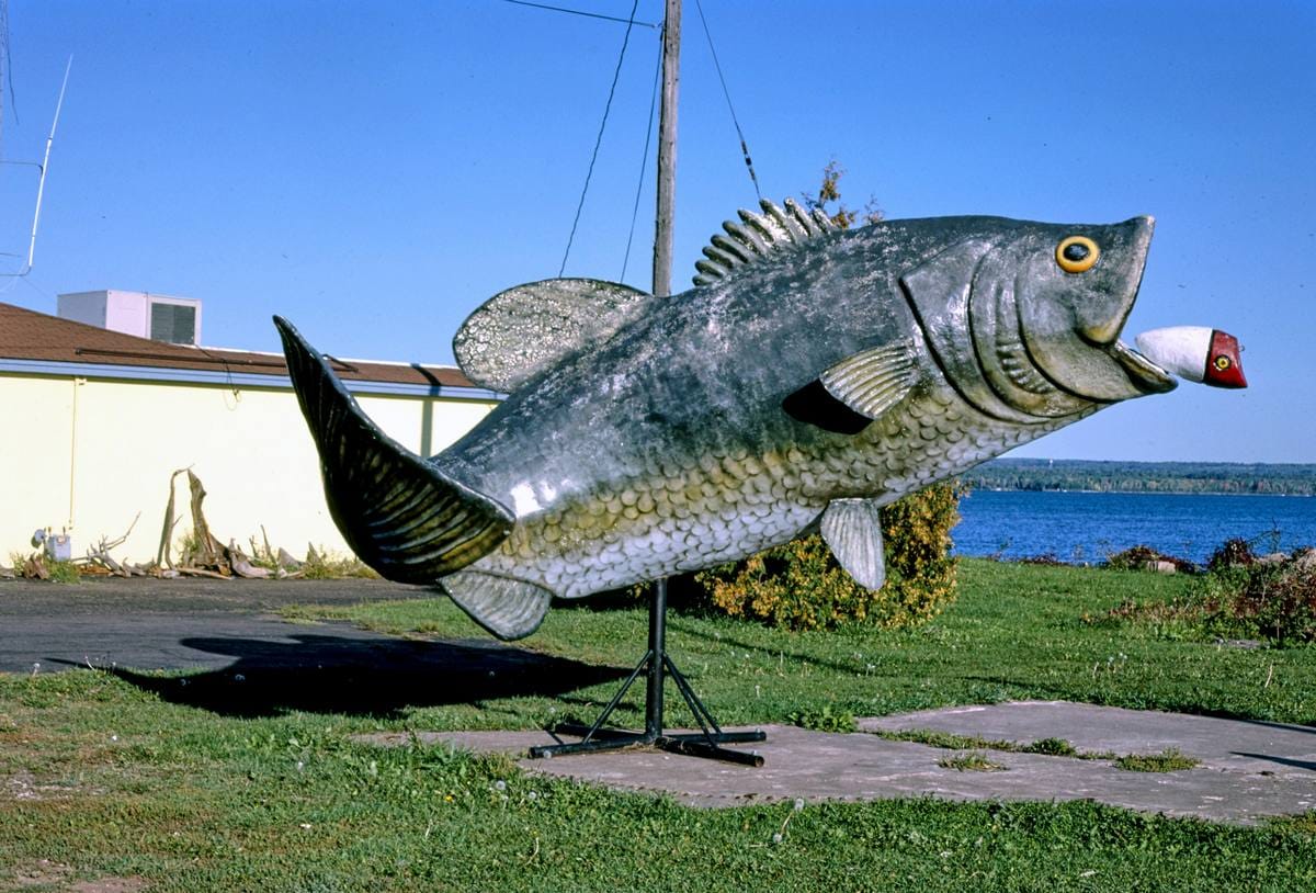 Historic Photo : 1988 Fish statue at Bodin's on the Lake, Route 2, Ashland, Wisconsin | Margolies | Roadside America Collection | Vintage Wall Art :