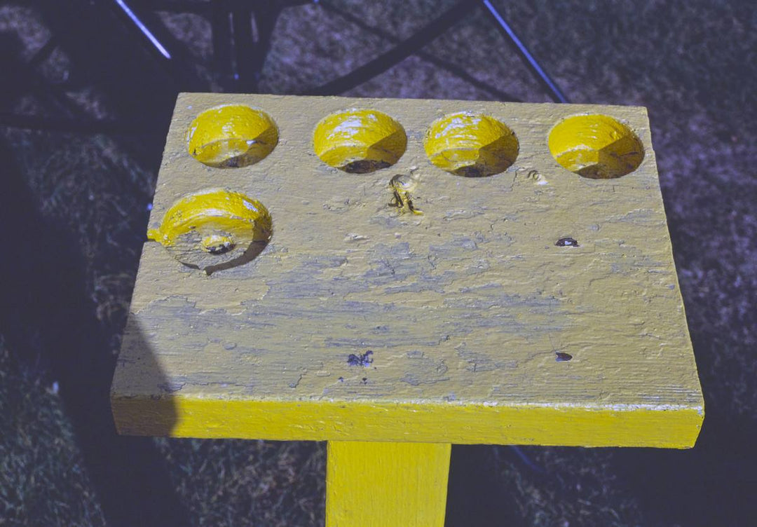 Historic Photo : 1987 Mini golf at Lucy's Amusement Park, drink stand, Minot, North Dakota | Margolies | Roadside America Collection | Vintage Wall Art :