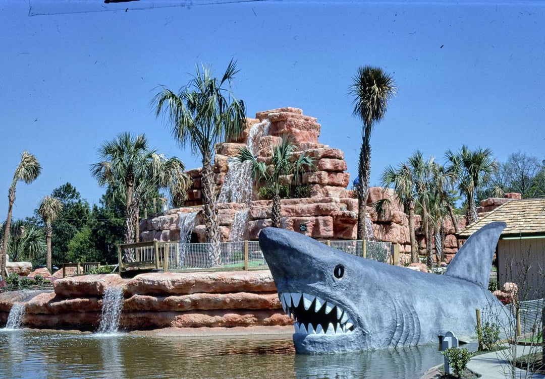 Historic Photo : 1988 Rainbow Falls mini golf, shark, Myrtle Beach, South Carolina | Margolies | Roadside America Collection | Vintage Wall Art :