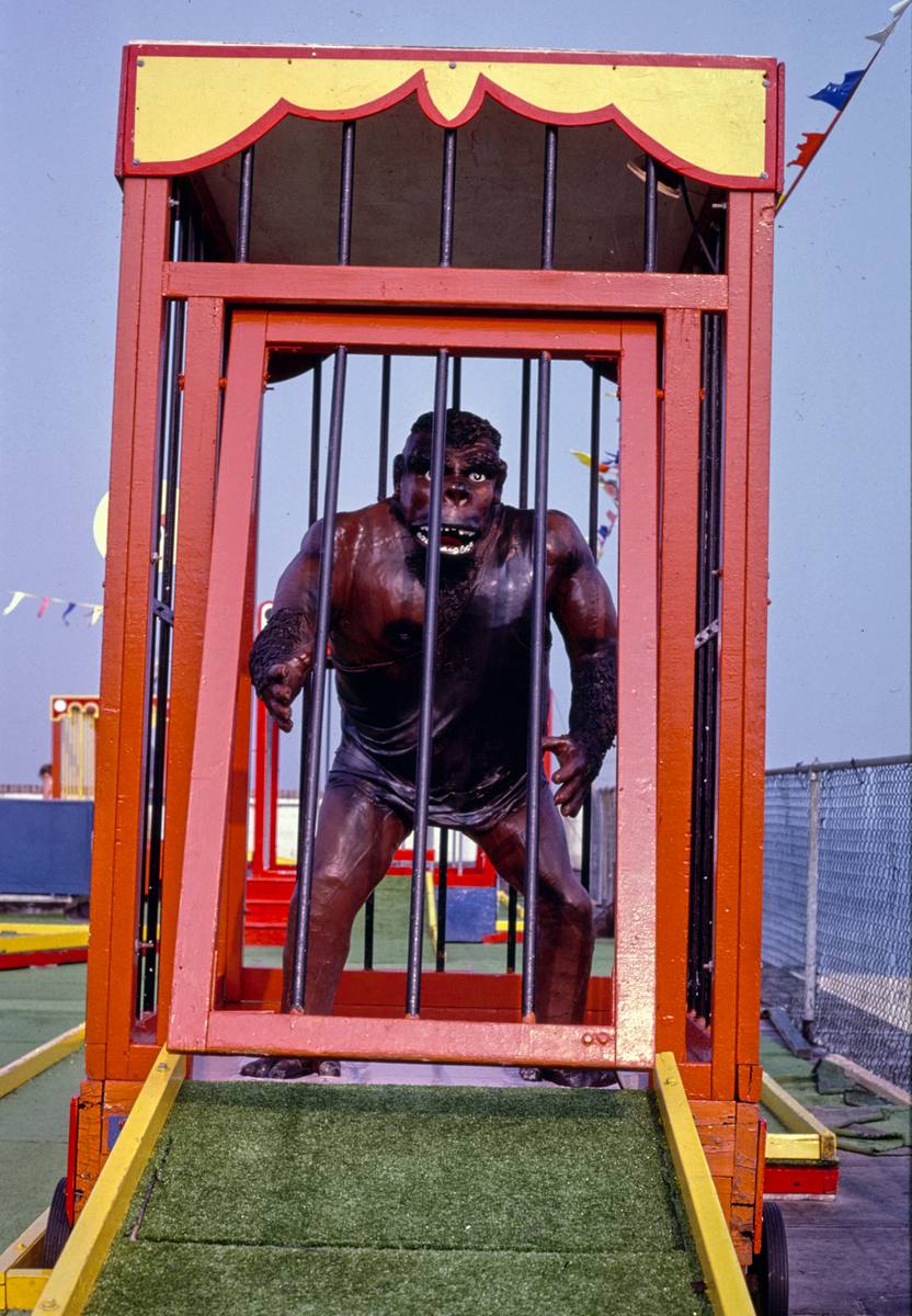 Historic Photo : 1985 Old Pro Golf, gorilla, Rehoboth Beach, Delaware | Margolies | Roadside America Collection | Vintage Wall Art :