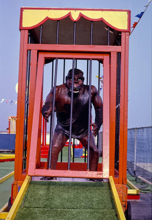 Historic Photo : 1985 Old Pro Golf, gorilla, Rehoboth Beach, Delaware | Margolies | Roadside America Collection | Vintage Wall Art :