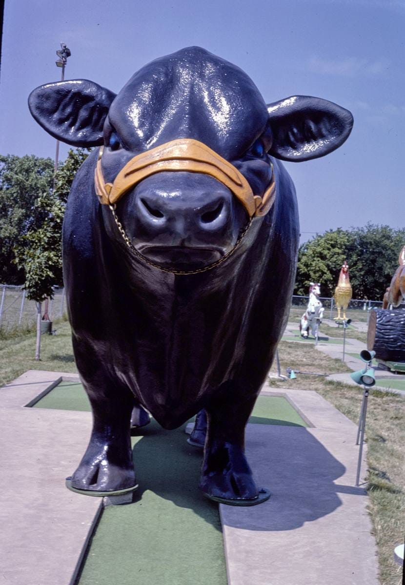 Historic Photo : 1984 Fairway Golf, cow, 1700 Como Avenue, St. Paul, Minnesota | Margolies | Roadside America Collection | Vintage Wall Art :