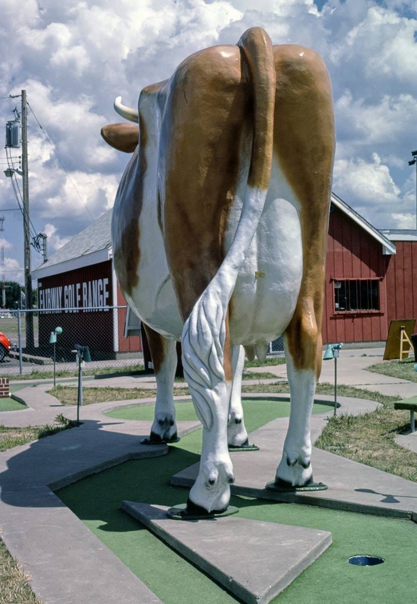 Historic Photo : 1984 Fairway Golf, cow back, 1700 Como Avenue, St. Paul, Minnesota | Margolies | Roadside America Collection | Vintage Wall Art :