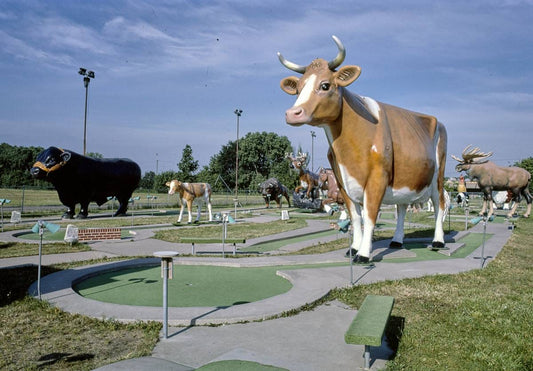 Historic Photo : 1984 Fairway Golf, 1700 Como Avenue, St. Paul, Minnesota | Margolies | Roadside America Collection | Vintage Wall Art :