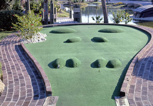 Historic Photo : 1985 Treasure Island Golf, Myrtle Beach, South Carolina | Margolies | Roadside America Collection | Vintage Wall Art :