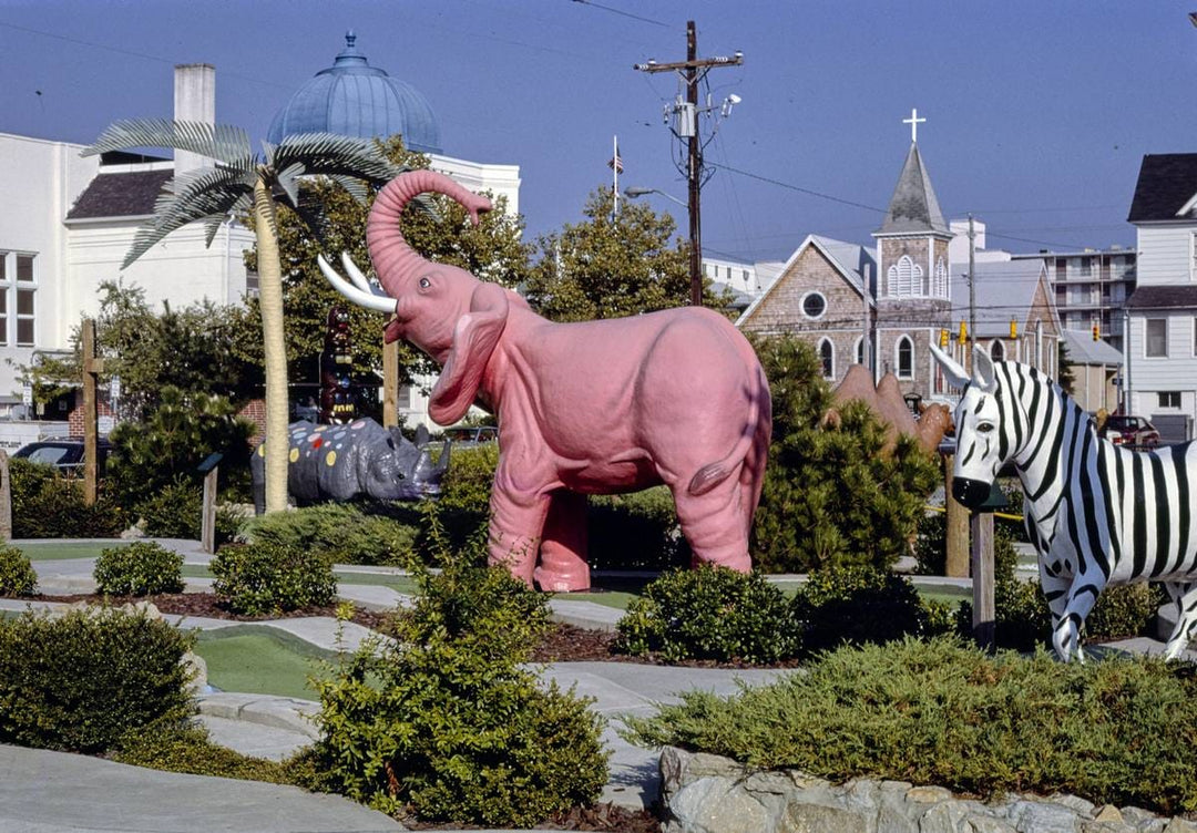 Historic Photo : 1985 Bamboo Golf, pink elephant, Ocean City, Maryland | Margolies | Roadside America Collection | Vintage Wall Art :