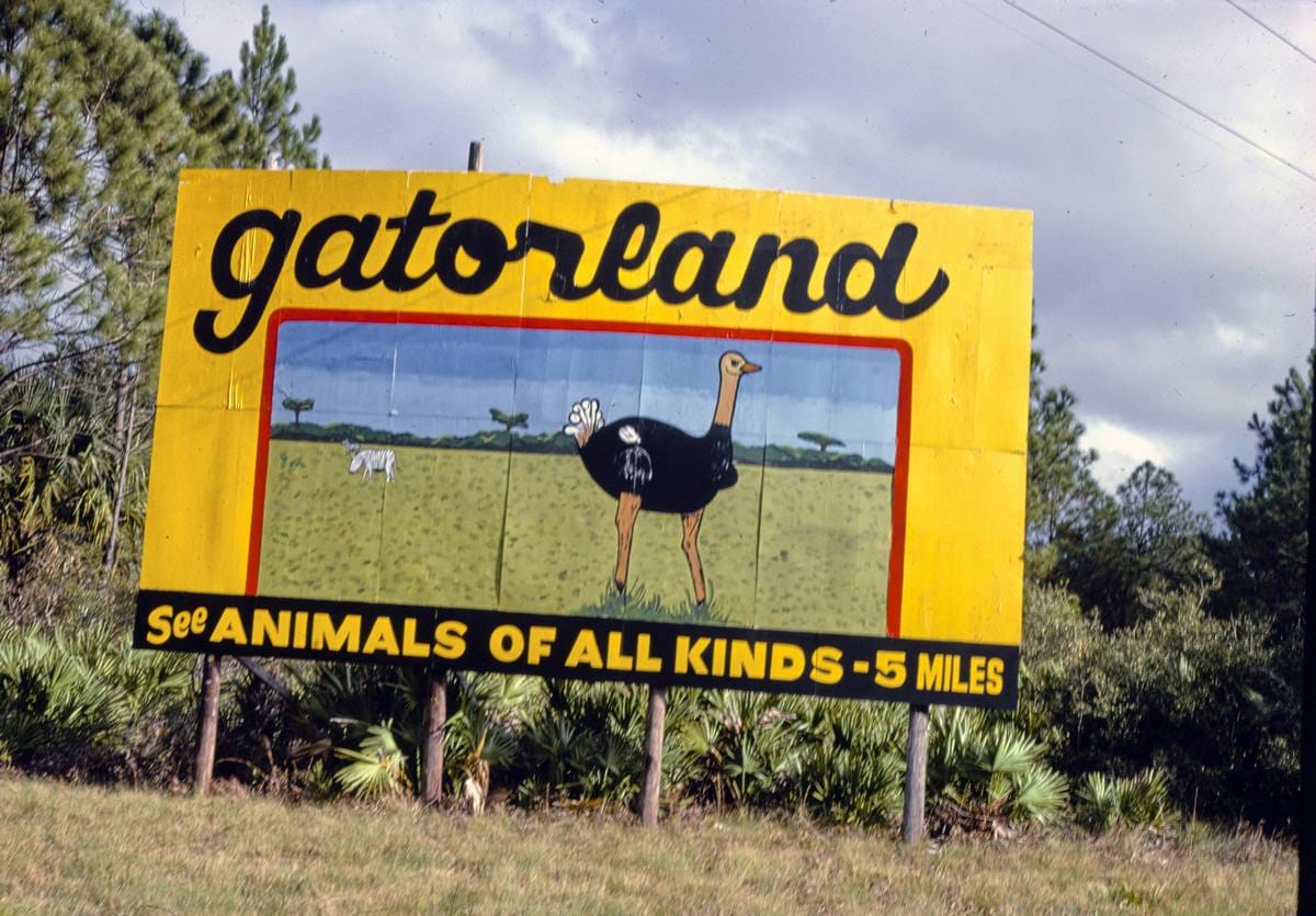 Historic Photo : 1979 Billboard, Route 1, St. Augustine, Florida | Margolies | Roadside America Collection | Vintage Wall Art :