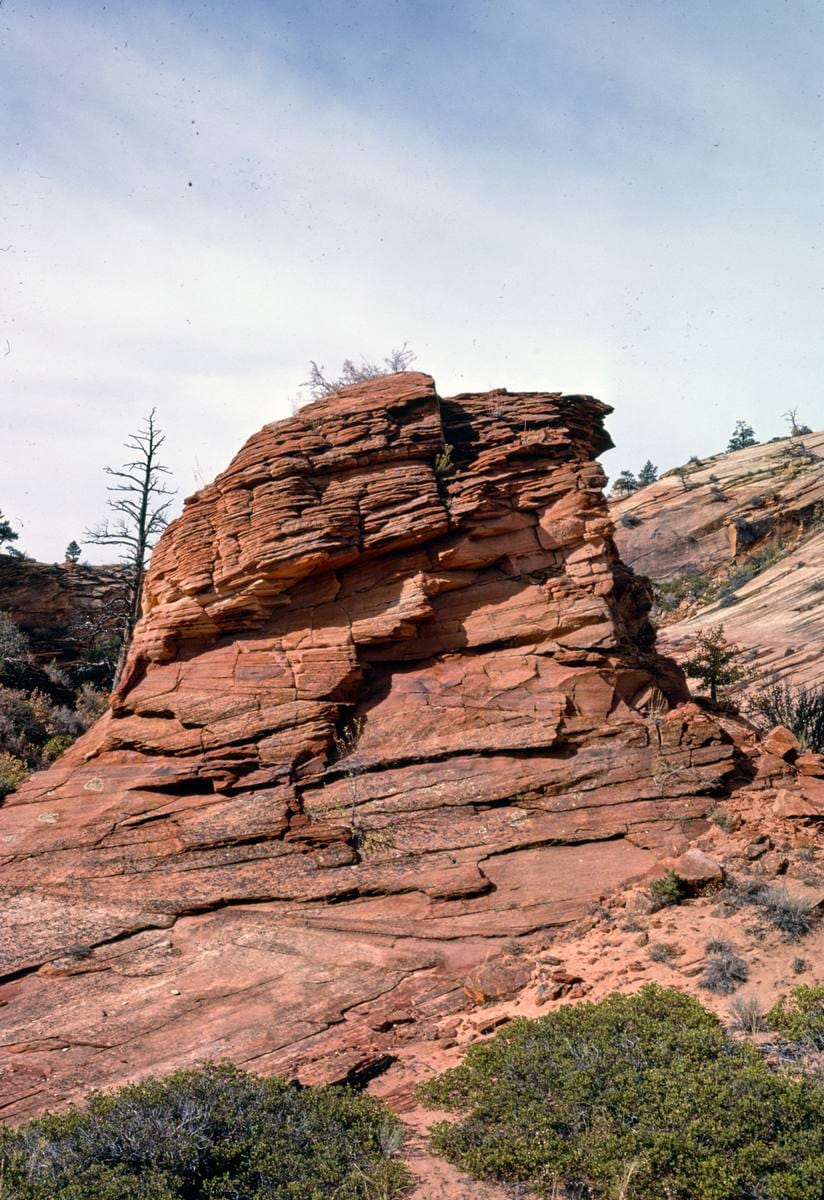 Historic Photo : 1987 Zion National Park, Springdale, Utah | Margolies | Roadside America Collection | Vintage Wall Art :