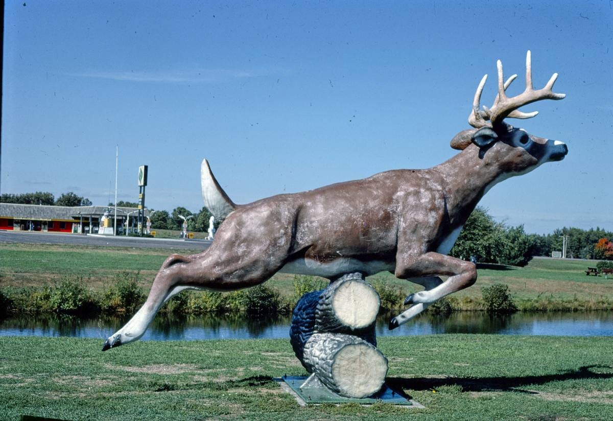 Historic Photo : 1988 Black River Falls Oasis stag statue, Black River Falls, Wisconsin | Margolies | Roadside America Collection | Vintage Wall Art :