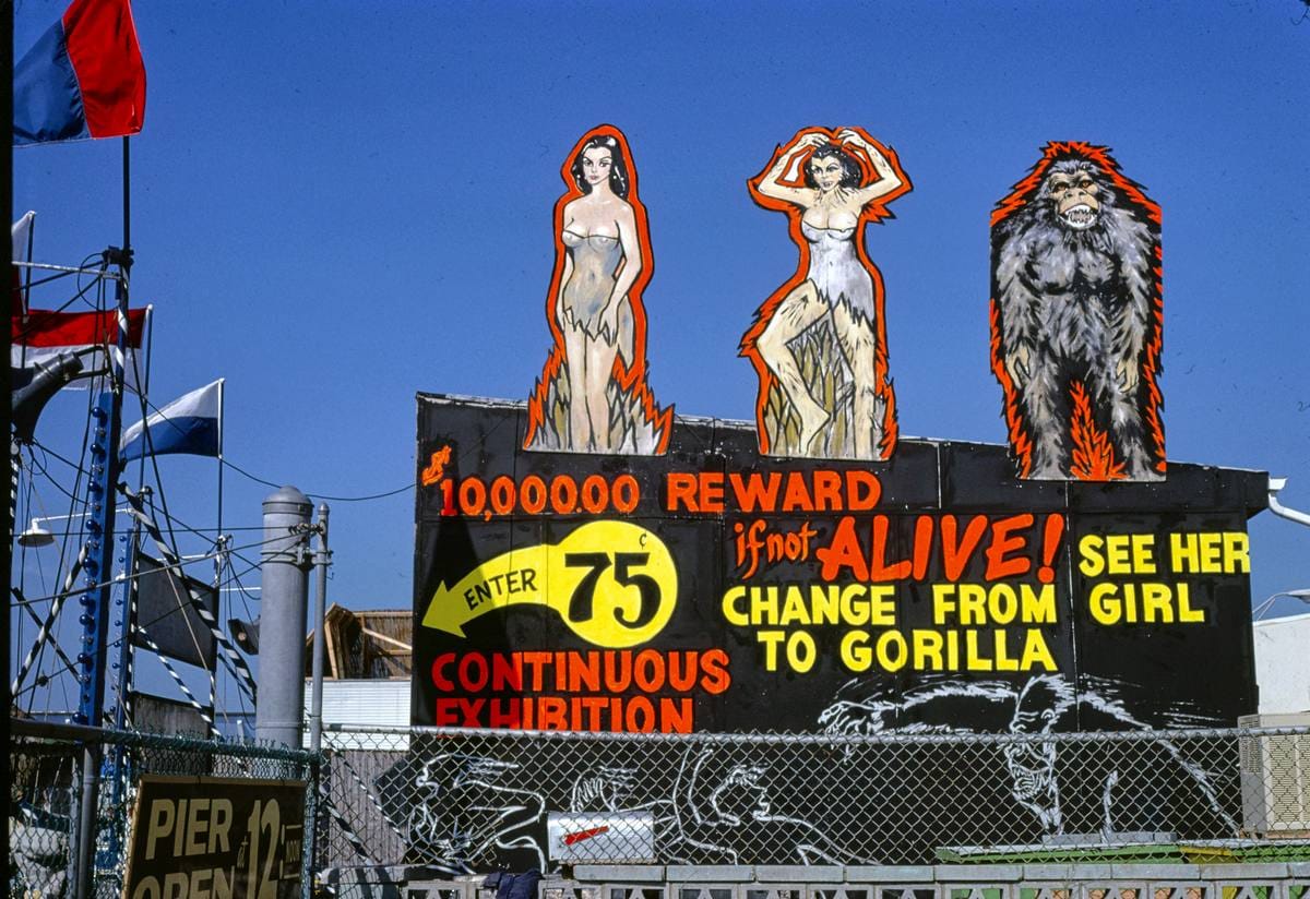 Historic Photo : 1978 Gorilla Girl sign, Atlantic City, New Jersey | Margolies | Roadside America Collection | Vintage Wall Art :