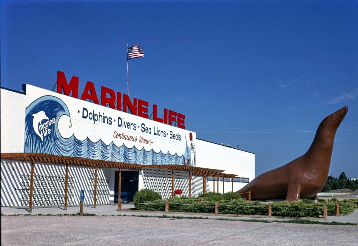 Dragable Image