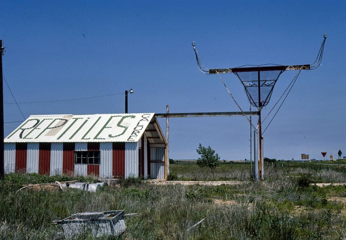 Historic Photo : 1982 Reptile Galore, east of McLean, Texas | Margolies | Roadside America Collection | Vintage Wall Art :