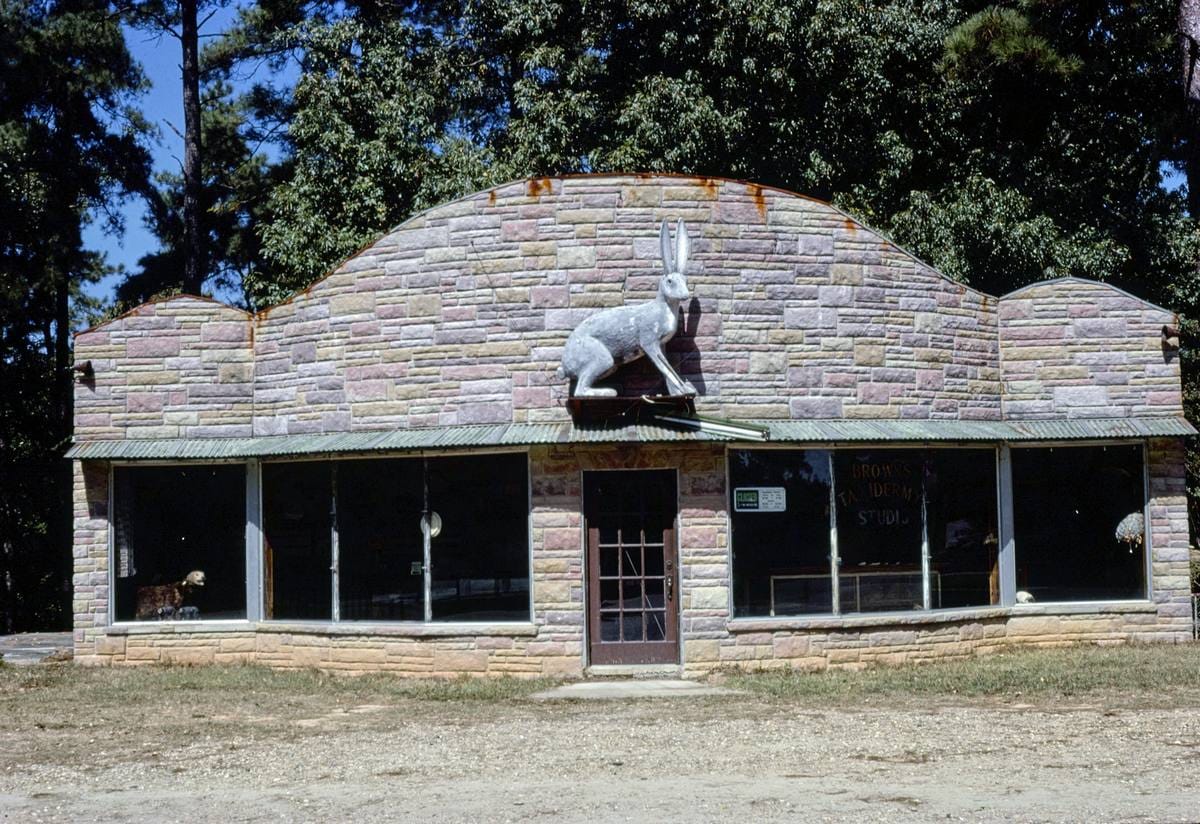 Historic Photo : 1979 Brown's Taxidermy Studio, El Dorado, Arkansas | Margolies | Roadside America Collection | Vintage Wall Art :