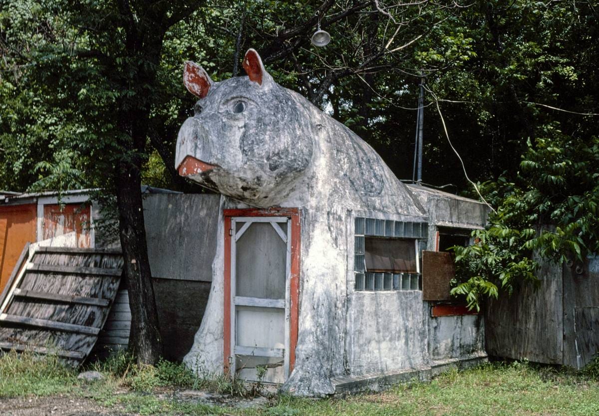 Historic Photo : 1982 Pig Stand, San Antonio, Texas | Margolies | Roadside America Collection | Vintage Wall Art :