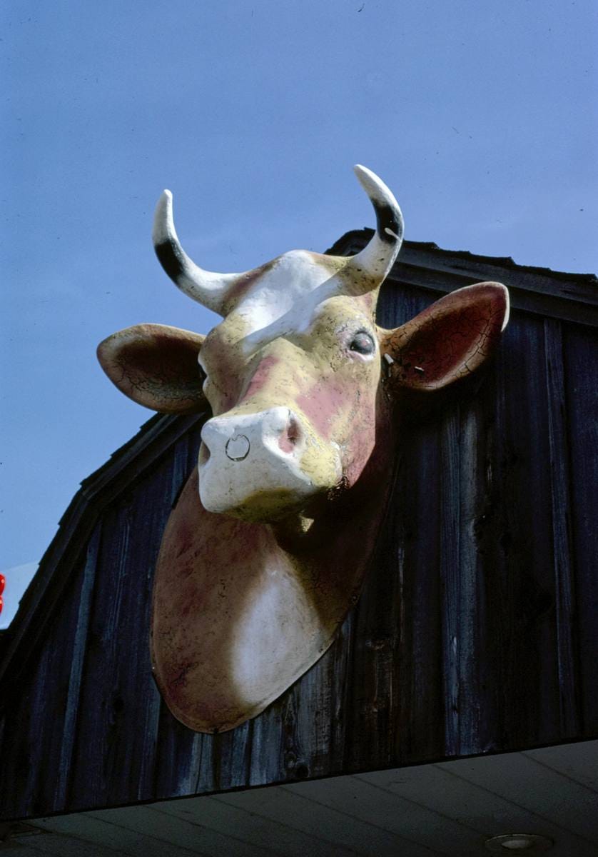 Historic Photo : 1988 Dairy Barn ice cream sign, Clintonville, Wisconsin | Margolies | Roadside America Collection | Vintage Wall Art :
