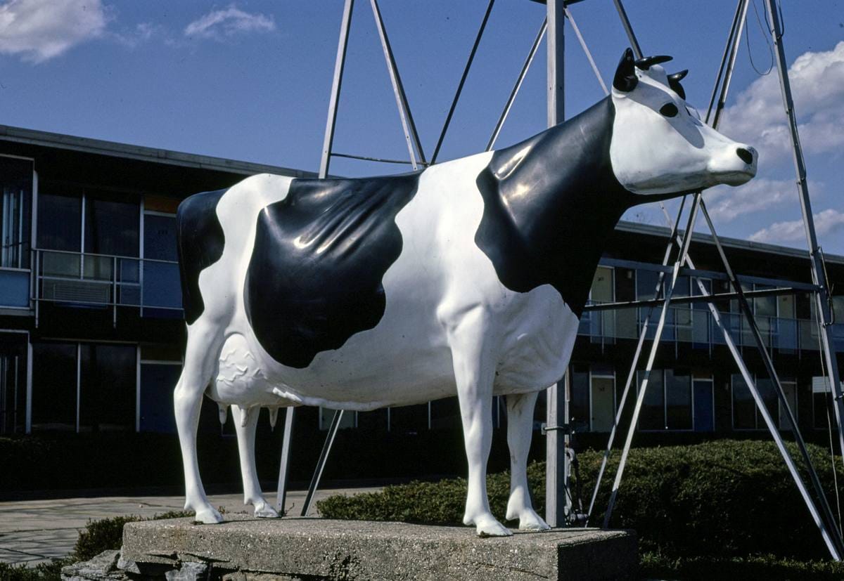 Historic Photo : 1984 Cow statue at Fantasy Farm, LeSourdsville, Middletown, Ohio | Margolies | Roadside America Collection | Vintage Wall Art :